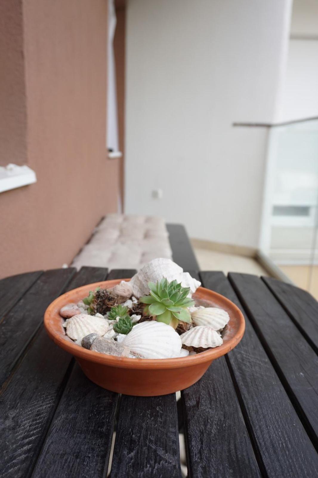 Apartman_Krstić_1 Subotica Zewnętrze zdjęcie